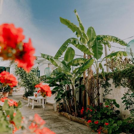 Masseria Agriturismo Il Sorriso Degli Ulivi - Dimora Di Charme Gallipoli Luaran gambar