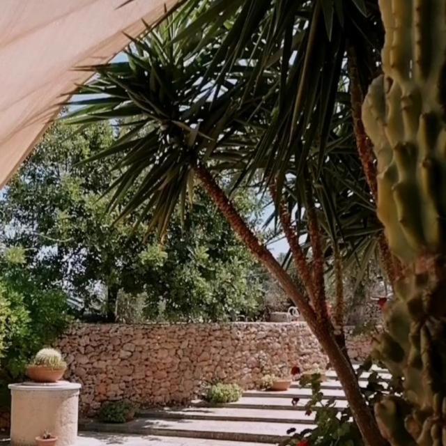 Masseria Agriturismo Il Sorriso Degli Ulivi - Dimora Di Charme Gallipoli Luaran gambar