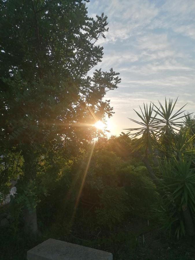 Masseria Agriturismo Il Sorriso Degli Ulivi - Dimora Di Charme Gallipoli Luaran gambar
