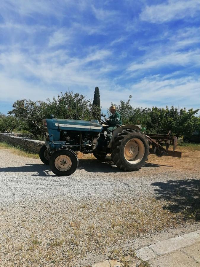Masseria Agriturismo Il Sorriso Degli Ulivi - Dimora Di Charme Gallipoli Luaran gambar