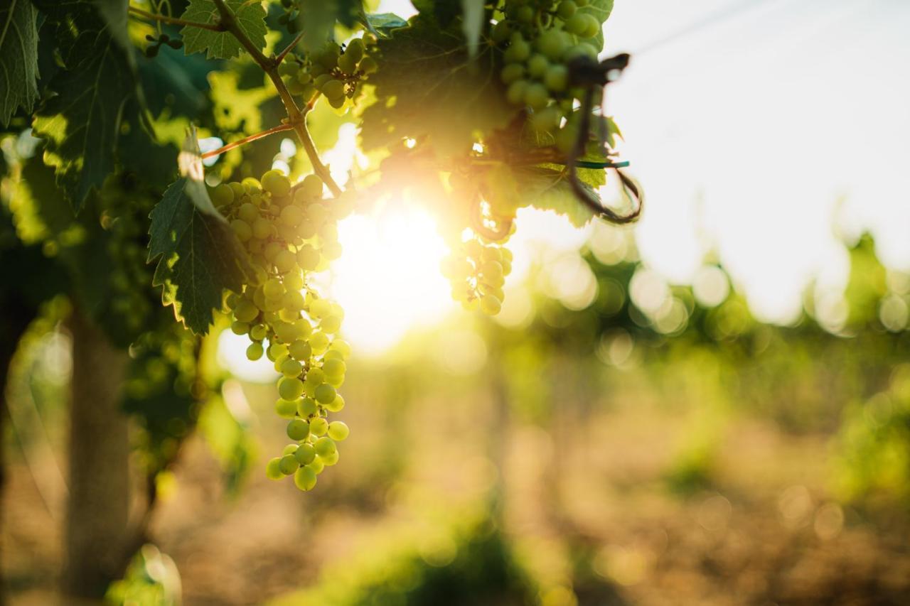 Masseria Agriturismo Il Sorriso Degli Ulivi - Dimora Di Charme Gallipoli Luaran gambar