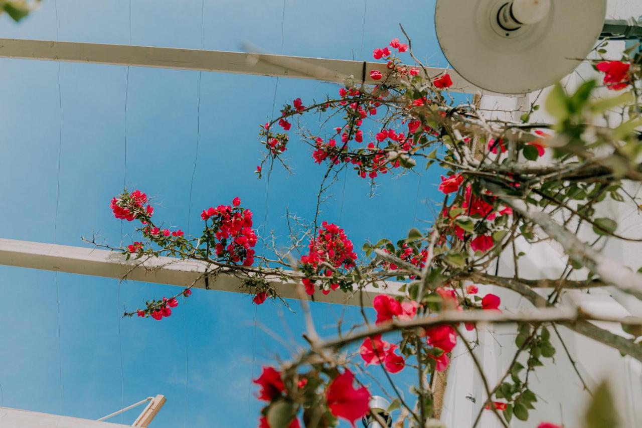 Masseria Agriturismo Il Sorriso Degli Ulivi - Dimora Di Charme Gallipoli Luaran gambar