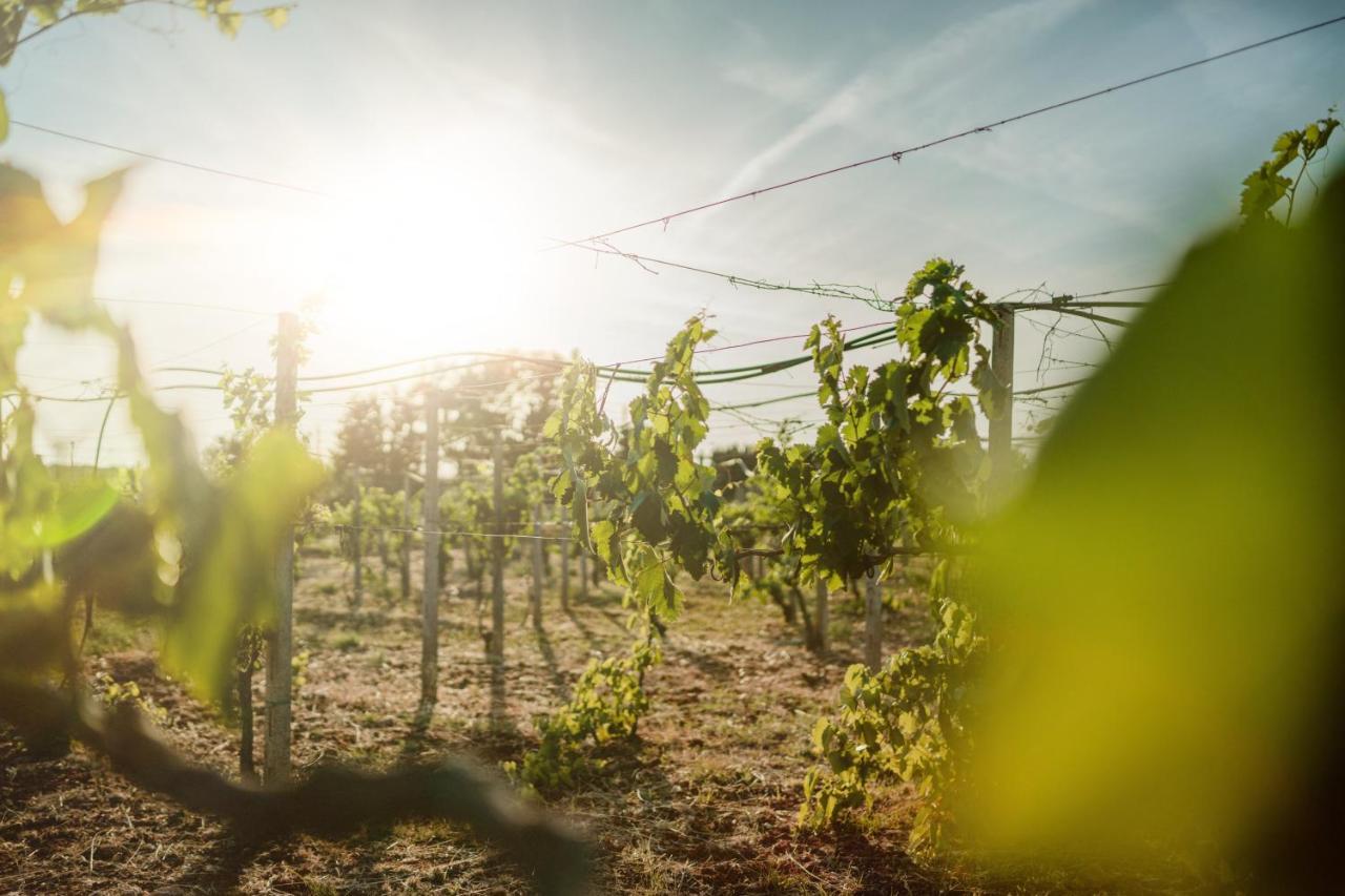 Masseria Agriturismo Il Sorriso Degli Ulivi - Dimora Di Charme Gallipoli Luaran gambar