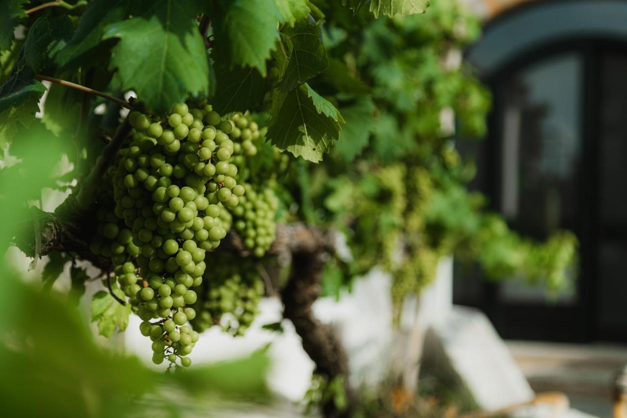 Masseria Agriturismo Il Sorriso Degli Ulivi - Dimora Di Charme Gallipoli Luaran gambar